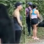 Un oso negro sorprende a tres excursionistas en México... y una de ellas se hace un selfie con él
