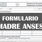 Formulario Madres ANSES P.S 2. 73 PDF Â¿Donde Descargar?